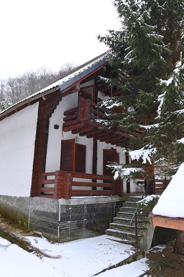 Casa De Vacanta Satic Piatra Craiului La Doi Viermi Bagian luar foto