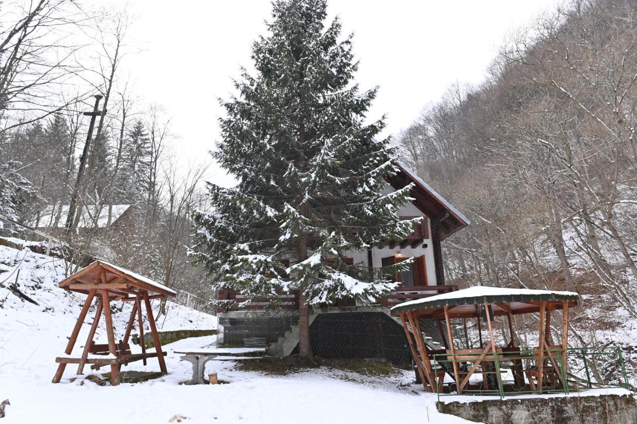 Casa De Vacanta Satic Piatra Craiului La Doi Viermi Bagian luar foto