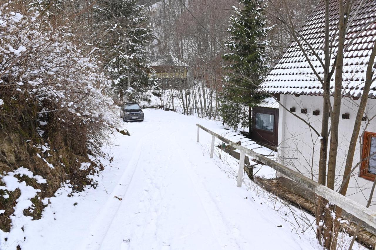 Casa De Vacanta Satic Piatra Craiului La Doi Viermi Bagian luar foto