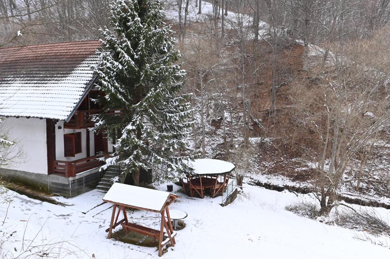 Casa De Vacanta Satic Piatra Craiului La Doi Viermi Bagian luar foto