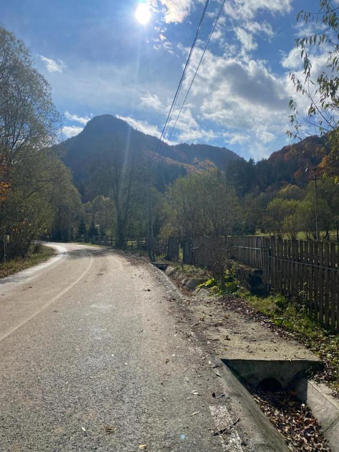 Casa De Vacanta Satic Piatra Craiului La Doi Viermi Bagian luar foto