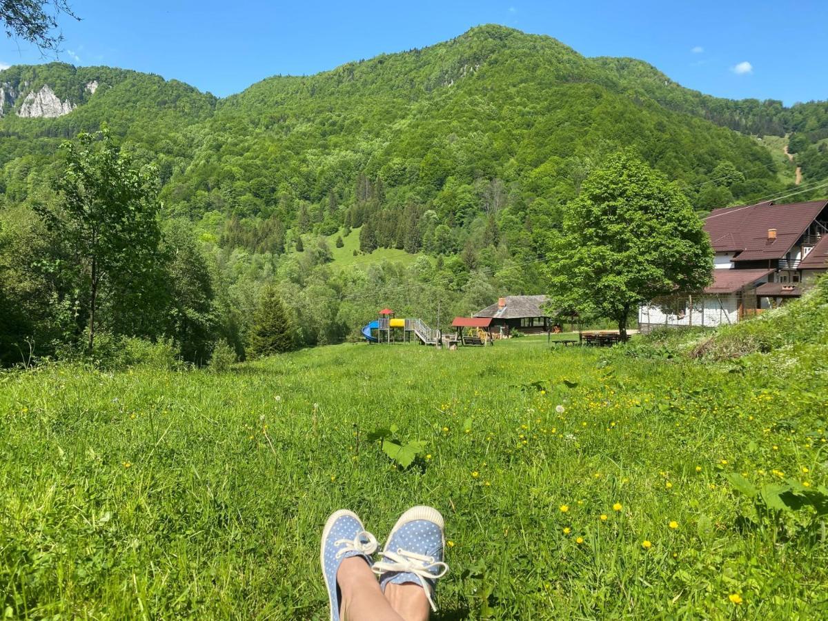 Casa De Vacanta Satic Piatra Craiului La Doi Viermi Bagian luar foto
