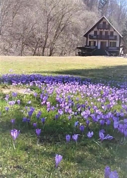 Casa De Vacanta Satic Piatra Craiului La Doi Viermi Bagian luar foto