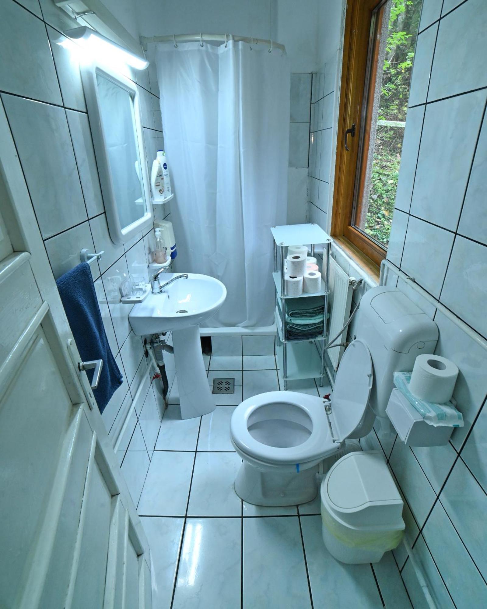 Casa De Vacanta Satic Piatra Craiului La Doi Viermi Bagian luar foto